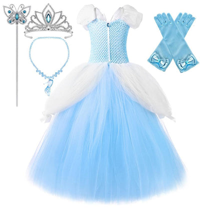 Cinderella Gown - My Fancy Dress Box